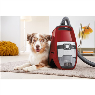 Miele Blizzard CX1 Cat & Dog, 890 Вт, без мешка, красный - Пылесос