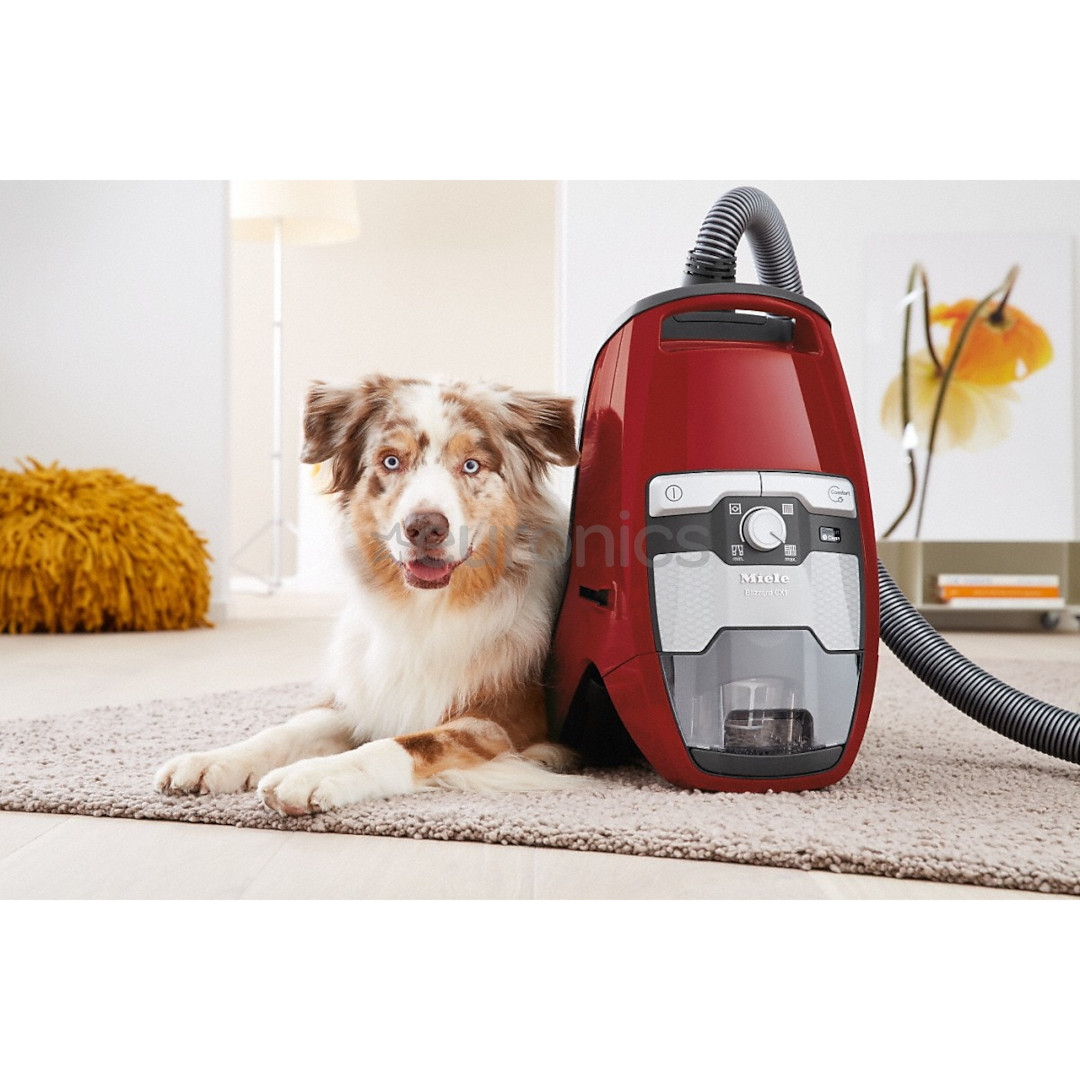 Miele Blizzard CX1 Cat & Dog, 890 Вт, без мешка, красный - Пылесос