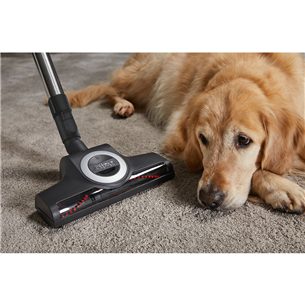 Miele Blizzard CX1 Cat & Dog, 890 W, bagless, red - Vacuum cleaner