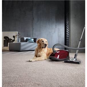 Miele Complete C3 Cat & Dog, 890 W, red - Vacuum cleaner