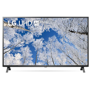 LG UQ7000, 4K UHD, 43", sānu statīvs, pelēka - Televizors