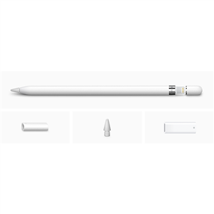 Apple Pencil, 1-ое поколение - Стилус