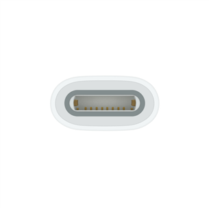 Apple USB-C to Apple Pencil Adapter, balta - Adapteris
