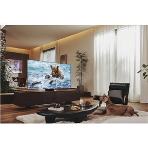 Samsung QN700B Neo QLED 8K, 55'', centra statīvs, sudraba/melna - Televizors