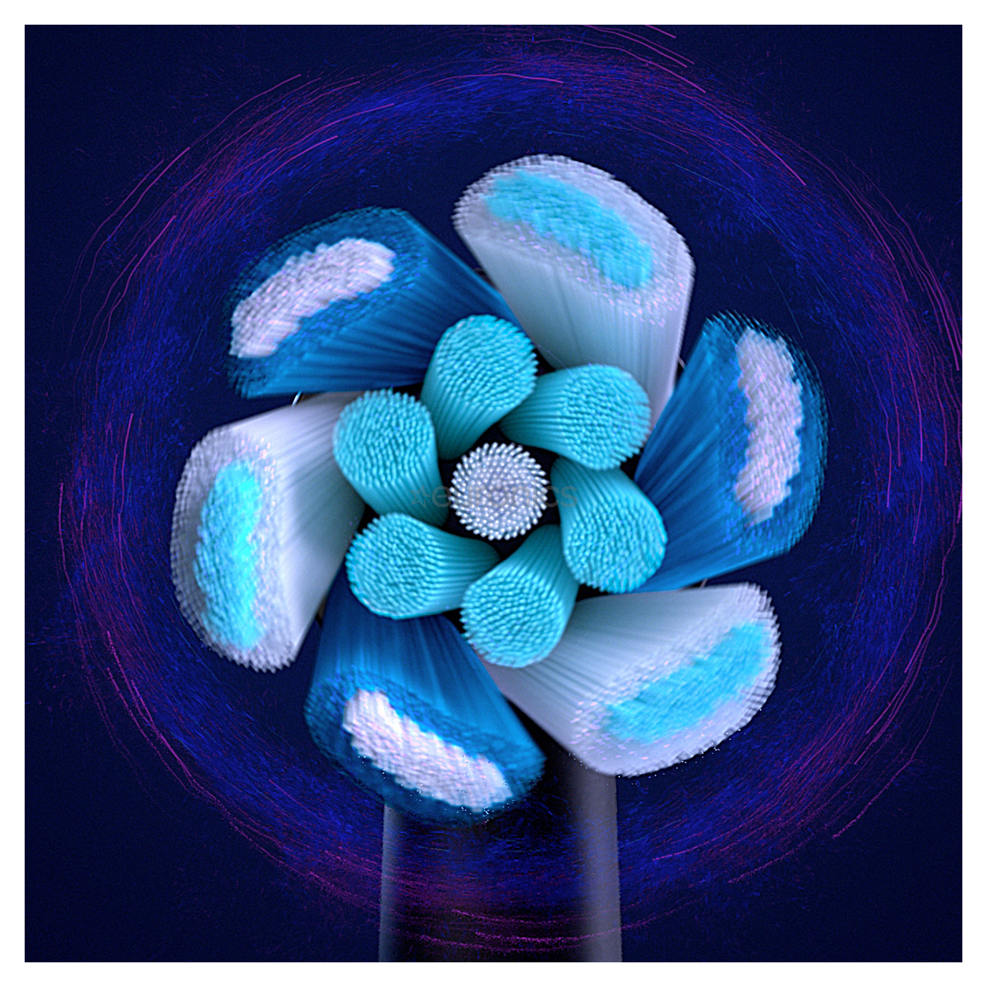 Braun Oral-B iO, 6 шт., черный - Насадки для электрической зубной щетки