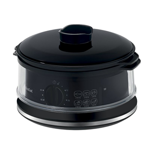 Tefal Convenient, 980 W, black - Steamer