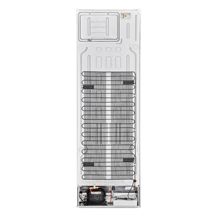 LG, No Frost, 341 L, augstums 186 cm, balta - Ledusskapis