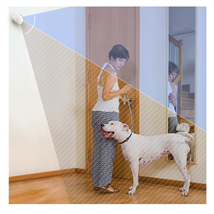 EZVIZ T1C, white - PIR Motion Sensor