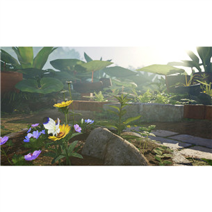 Pikmin 4, Nintendo Switch - Spēle