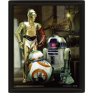 Star Wars Droids, 20x25 cm, 3D - Wall art 5051265891525