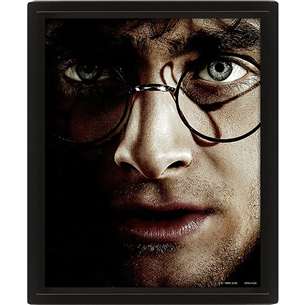 Harry Potter vs Voldemort, 20x25 cm, 3D - Wall art 5051265850065