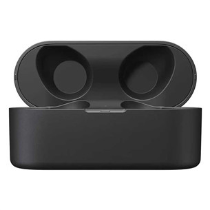 Technics AZ40M2, black - True-wireless earbuds