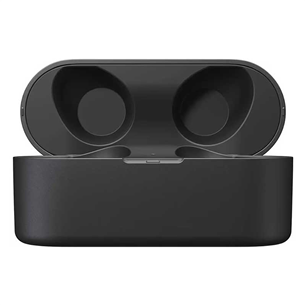 Technics AZ40M2, black - True-wireless earbuds