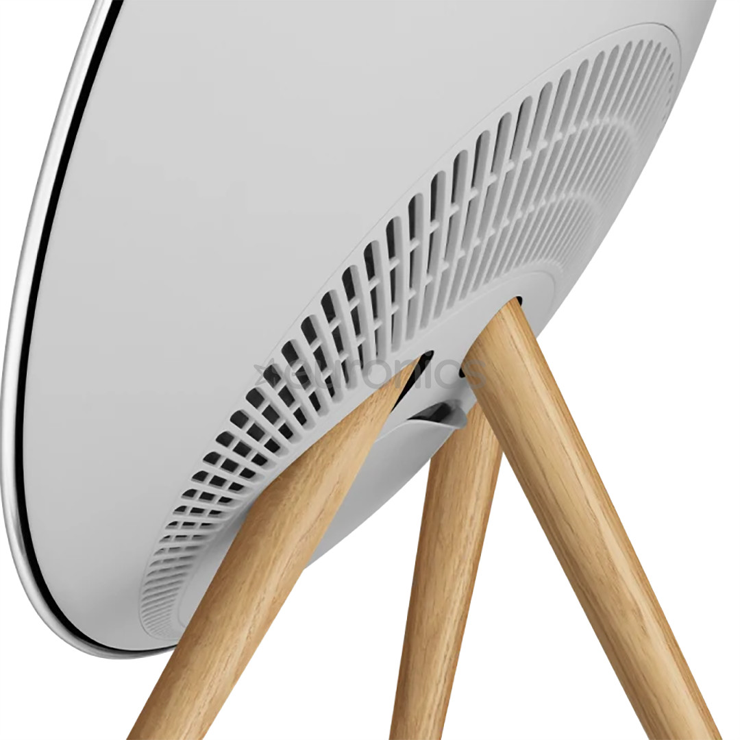 Bang & Olufsen Beosound A9 5.G, pelēka - Bezvadu skaļrunis