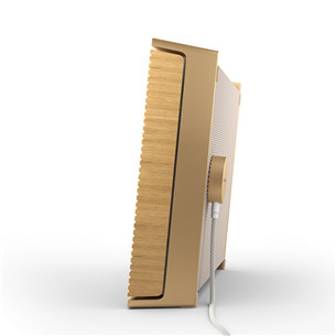 Bang & Olufsen Beosound Level, золотистый - Портативная беспроводная колонка