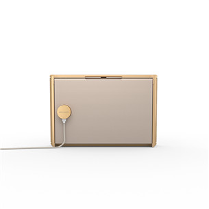 Bang & Olufsen Beosound Level, золотистый - Портативная беспроводная колонка