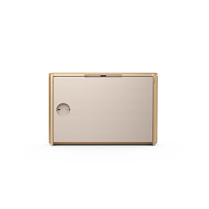 Bang & Olufsen Beosound Level, золотистый - Портативная беспроводная колонка