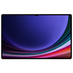 Samsung Galaxy Tab S9 Ultra, 14.6'', WiFi, 256 GB, pelēka - Planšetdators