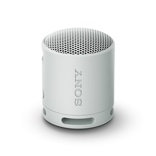 Sony SRS-XB100, light gray - Portable wireless speaker