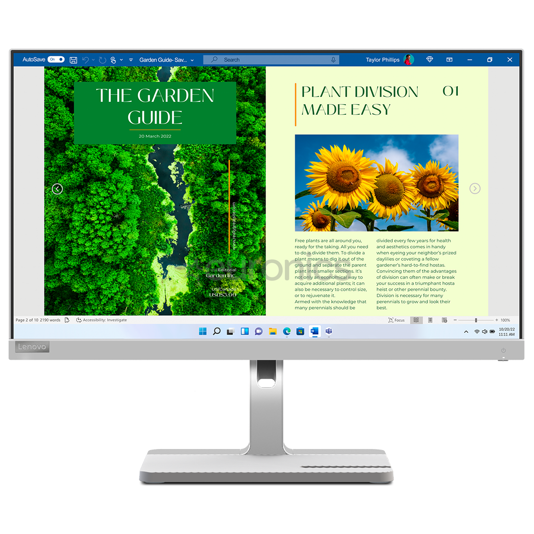 Lenovo L24m-40, 24'', FHD, LED IPS, 100 Hz, USB-C, gray - Monitor