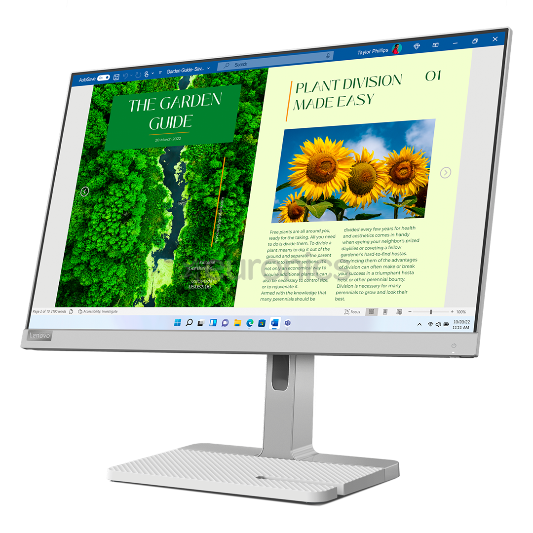 Lenovo L24m-40, 24'', FHD, LED IPS, 100 Hz, USB-C, gray - Monitor
