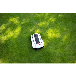 Ecovacs Goat G1-800, black/grey - Robotics lawn mower