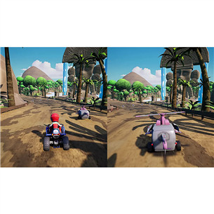 Paw Patrol: Grand Prix (Complete Edition), Nintendo Switch - Spēle