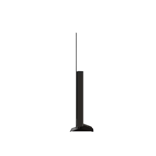 LG C4, 48'', 4K UHD, OLED, pelēka- Televizors