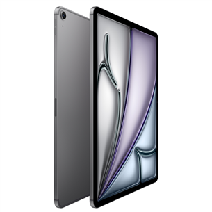Apple iPad Air 13'' (2024), M2, 256 GB, WiFi + 5G, space gray - Tablet