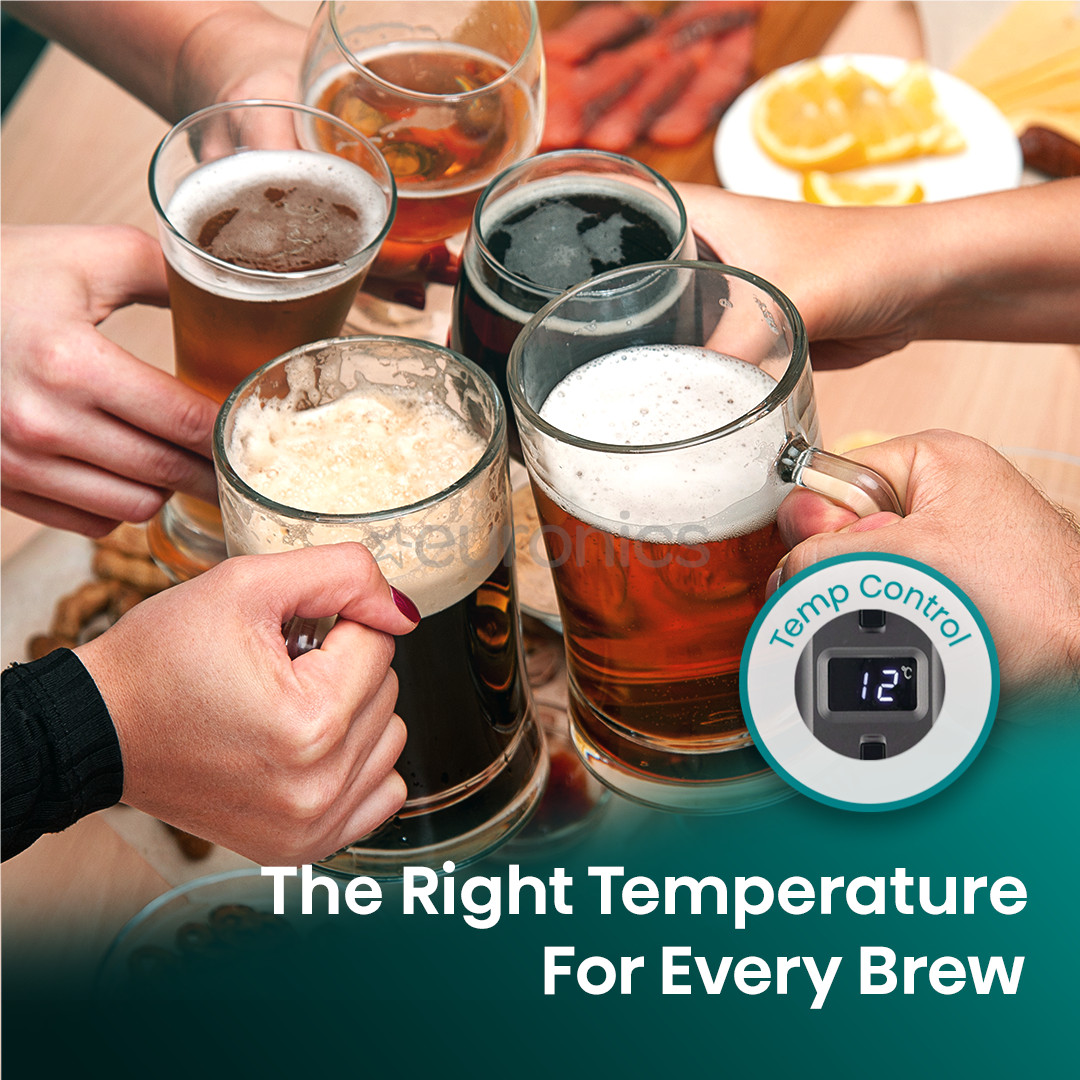 Hisense, 5 L, dark grey - Beer dispenser