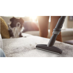 Philips Performer LED 8000, 900 W, pelēka - Putekļu sūcējs