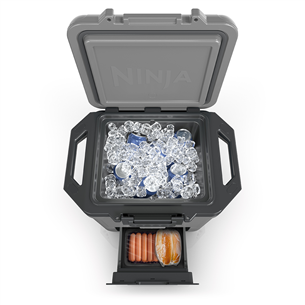 Ninja FrostVault, 28 L, pelēka - Auto ledusskapis