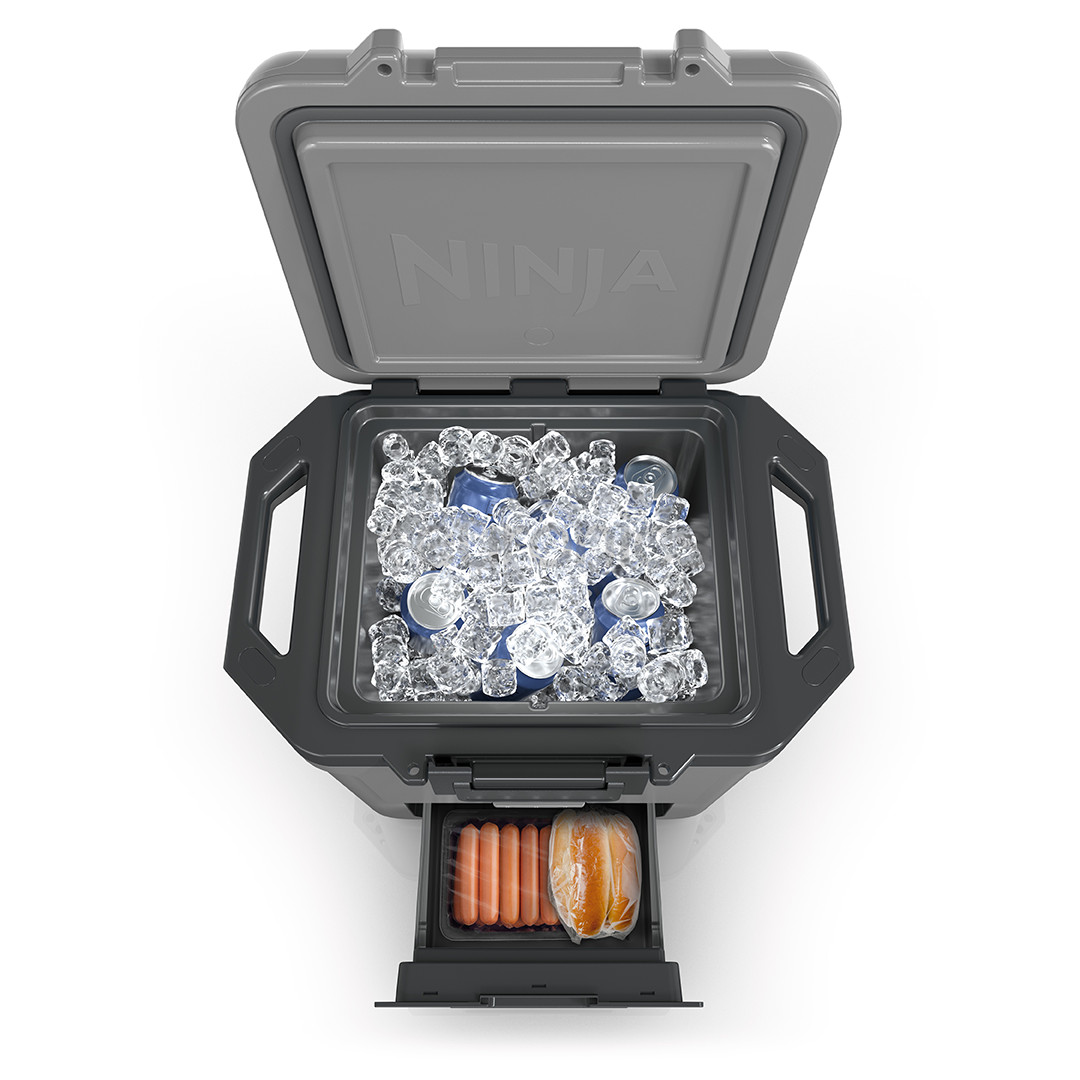 Ninja FrostVault, 28 L, grey - Car cooler