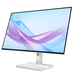 Lenovo L27q-4A, 27'', QHD, IPS, 100 Hz, cloud gray - Monitor