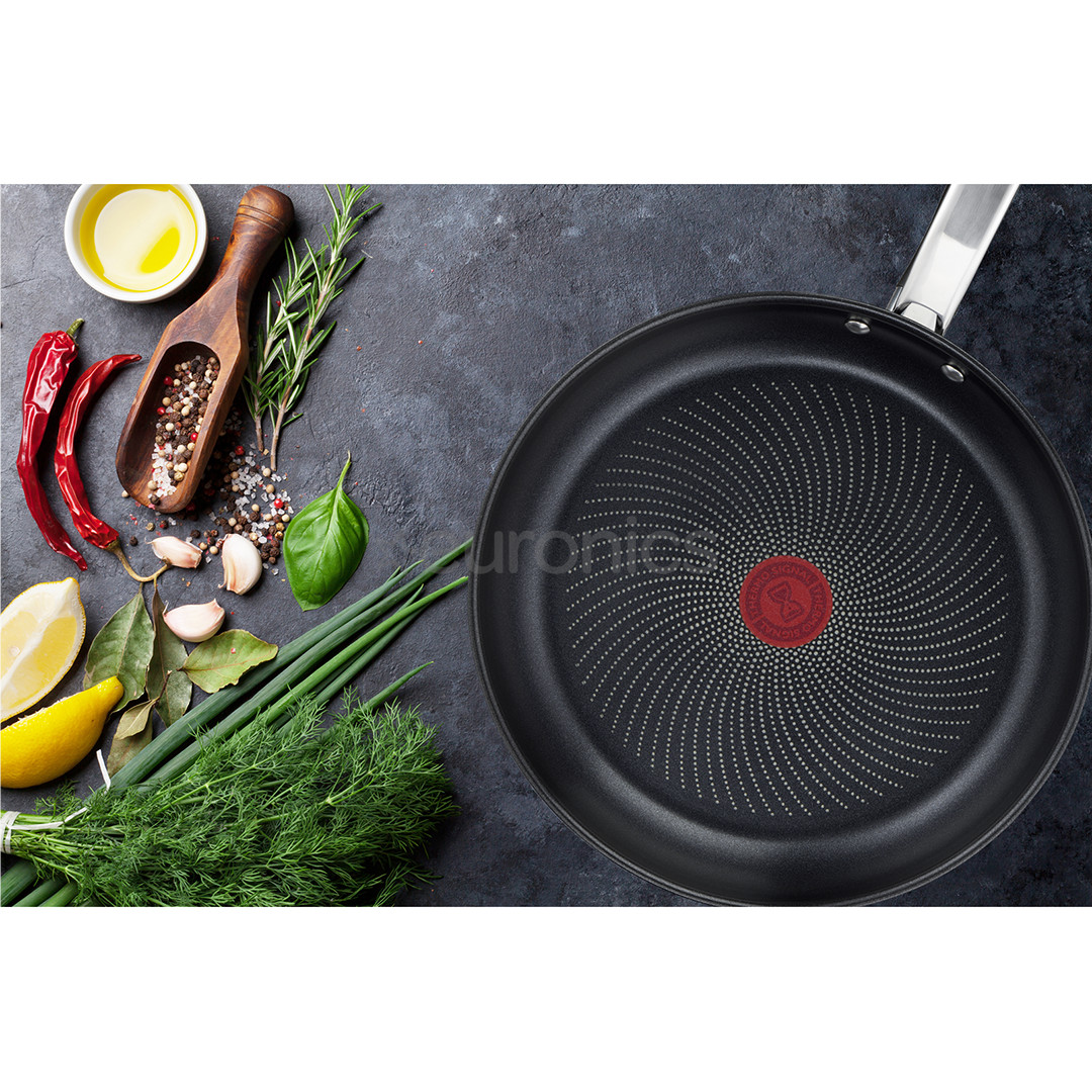 Tefal Intuition, 28 cm, stainless steel - Frypan