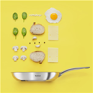 Tefal Intuition, 28 cm, stainless steel - Frypan