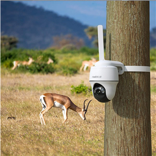 Reolink Go Series G440, 8MP, 4K, 4G LTE, balta - IP kamera ar akumulatoru