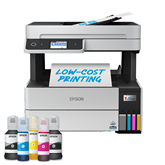 Epson EcoTank L6460, Wi-Fi, gray - Multifunctional Color Inkjet Printer