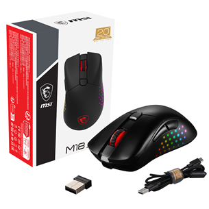 MSI Raider 18 HX A14V 20th Anniversary Bundle, 18'', 120 Hz, UHD+, Mini LED, i9, 32 GB, 2 TB, RTX 4080, core black - Notebook bundle