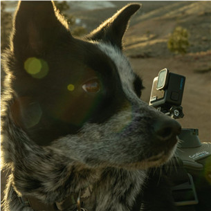 GoPro HERO, melna - Video kamera