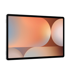 Samsung Galaxy Tab S10+, 256 GB, Wi-Fi + 5G, platinum silver - Tablet