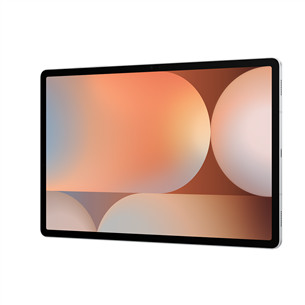 Samsung Galaxy Tab S10+, 256 GB, Wi-Fi + 5G, platinum silver - Tablet