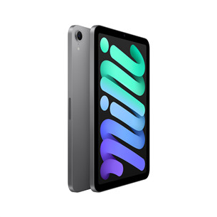 Apple iPad Mini (A17 Pro), 8,3'', 256 ГБ, WiFi, серый - Планшет