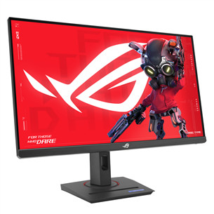 Asus ROG Strix XG27UCG, 27'', 4K UHD, 160 Hz, USB-C, black - Monitor