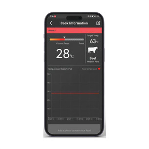 HerQs EasyBBQ, светло-серый - Умный кулинарный термощуп