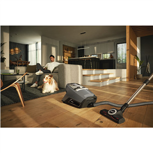 Miele Blizzard CX1 Cat & Dog Flex, 890 W, pelēka - Putekļu sūcējs