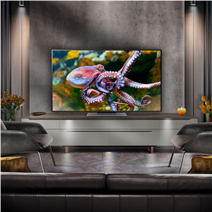 LG QNED86, 55'', 4K UHD, QNED, black - TV