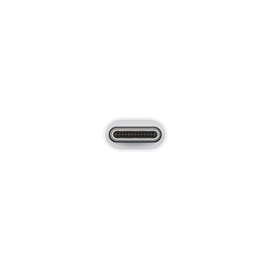 Apple USB-C to USB Adapter, balta - Adapteris