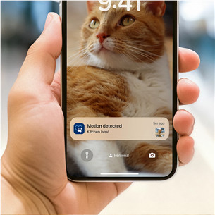 Philips 5000, 4.5 L, tumši pelēka - Viedā mājdzīvnieku barotava ar kameru