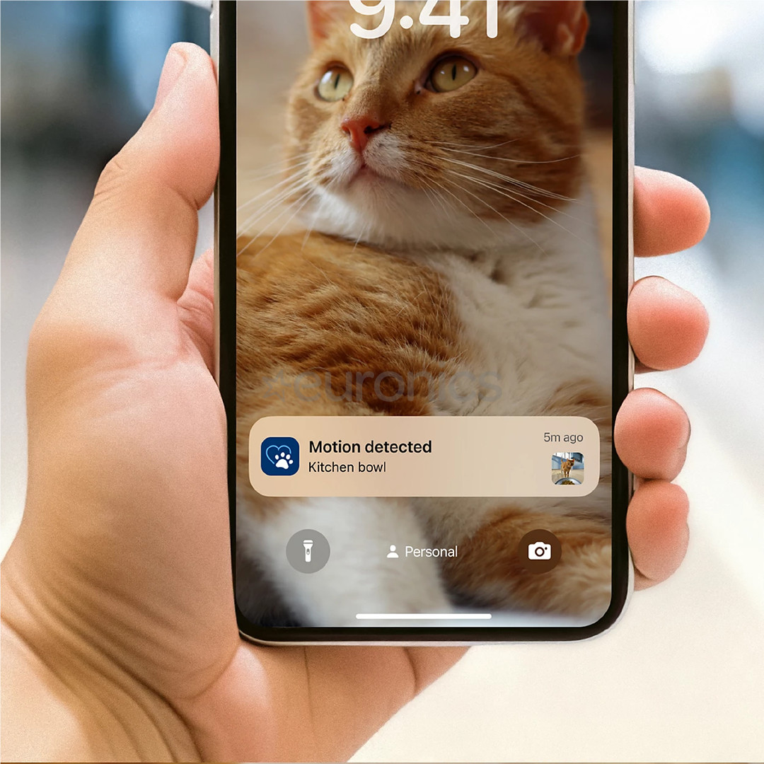 Philips 5000, 4.5 L, tumši pelēka - Viedā mājdzīvnieku barotava ar kameru